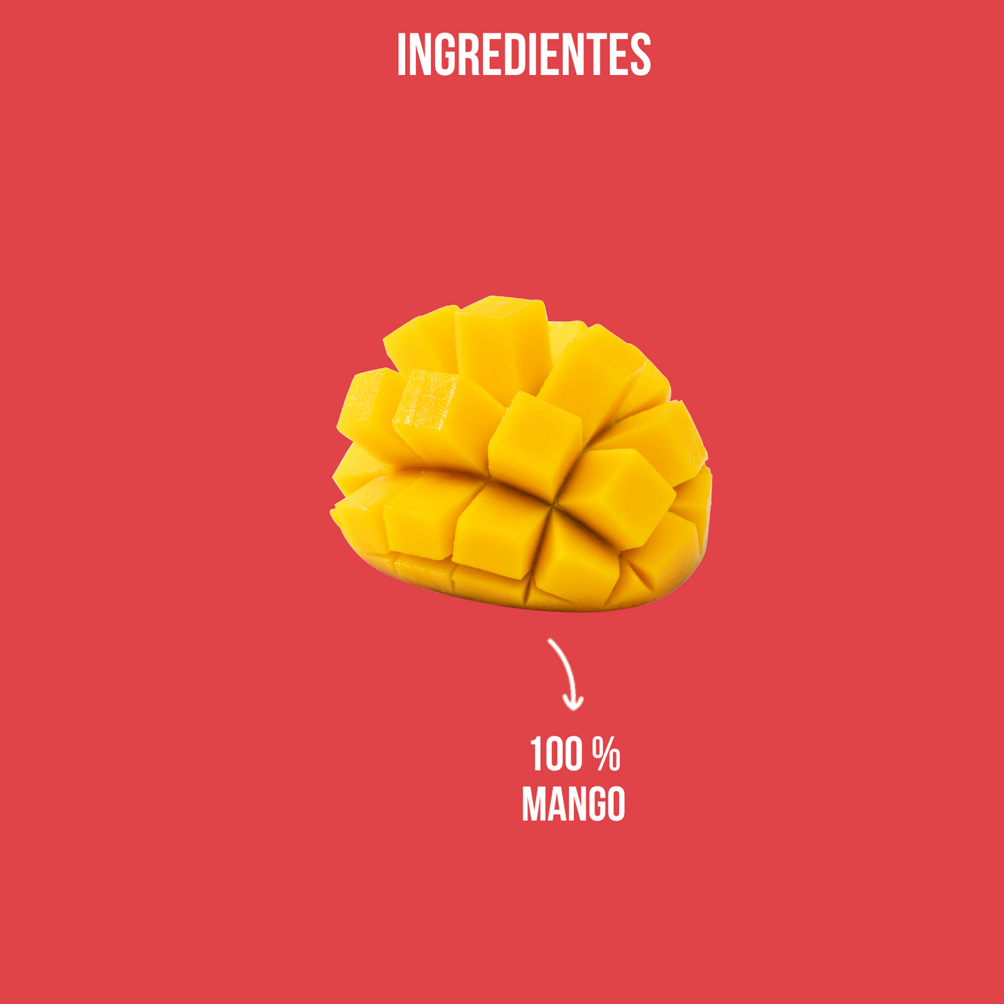 Mango Deshidratado 90 gr