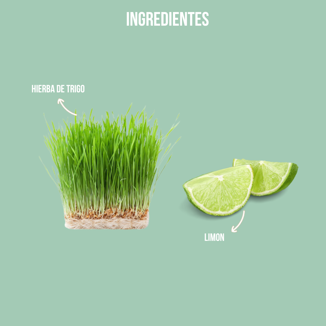 Wheatgrass con Limón 200 gr
